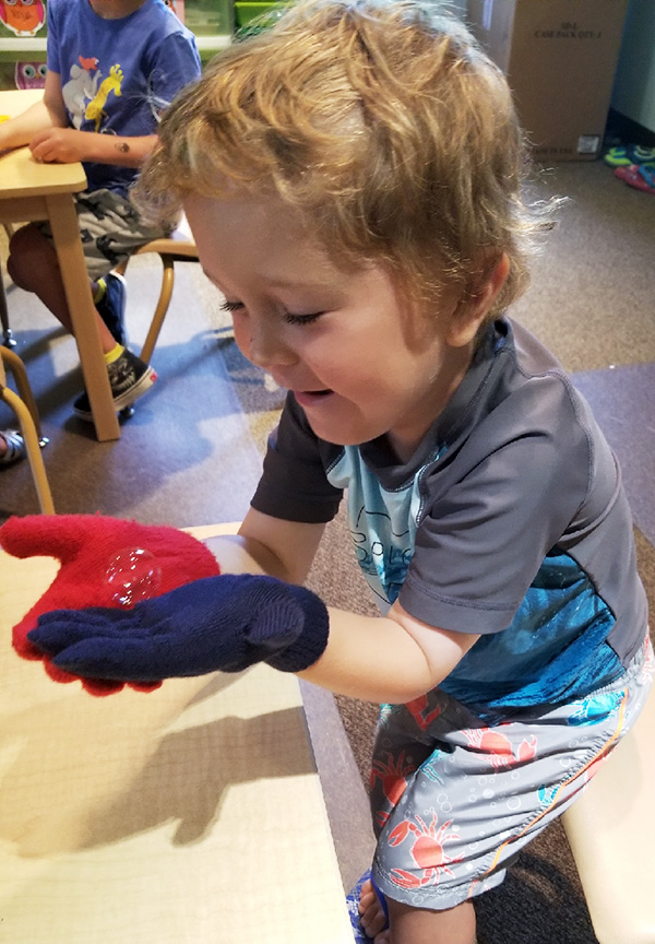Precious Memories Place Preschool Science
